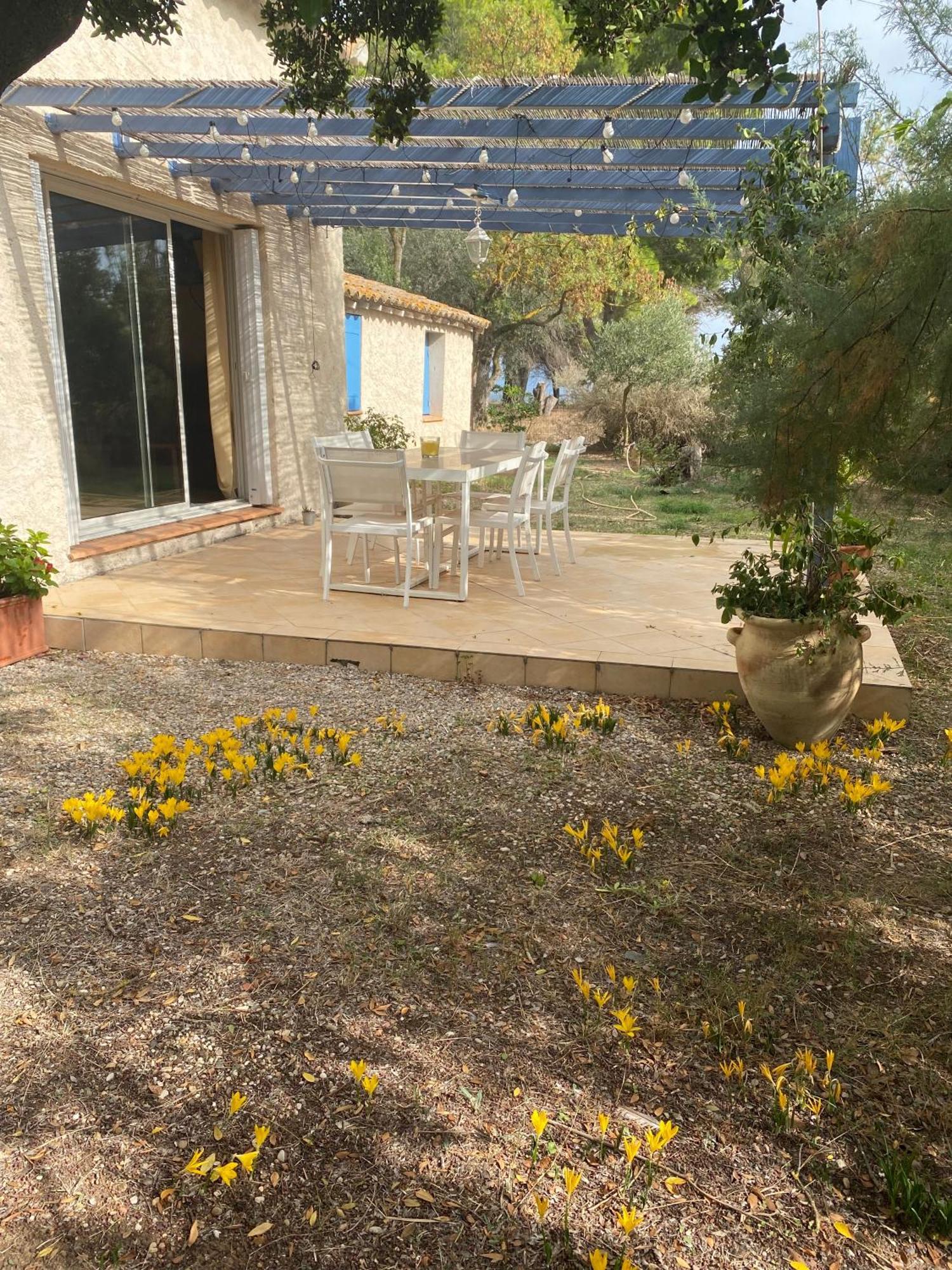 마르세이앙 Joli Mas Au Bord De L'Etang De Thau 빌라 외부 사진